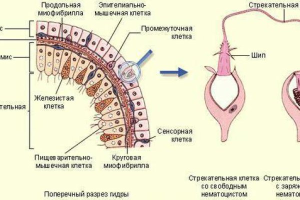 Кракен сайт ссылка kr2web in